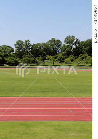 陸上トラック 陸上トラック 41446667