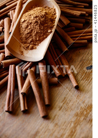 シナモン 41446825