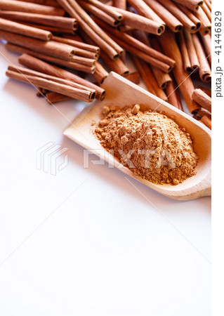 シナモン 41446829