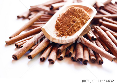シナモン 41446832