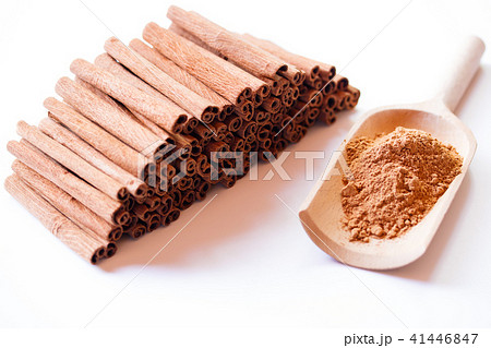シナモン 41446847