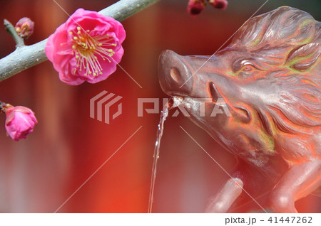 亥年年賀のイメージ 41447262