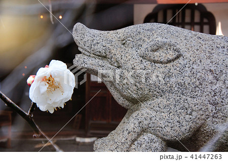 亥年年賀のイメージ 亥年年賀のイメージ 41447263