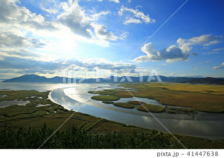 順天湾 湿地 水路 41447638
