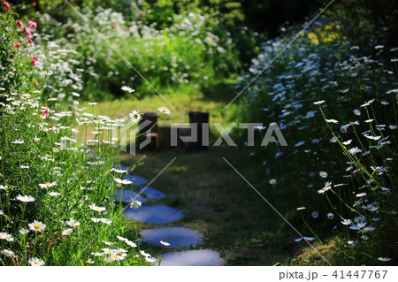 花 ガーデン 庭園 41447767