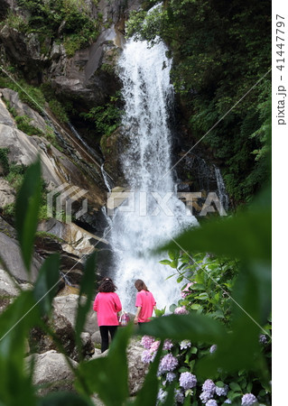 日本の滝百選　見返りの滝 41447797