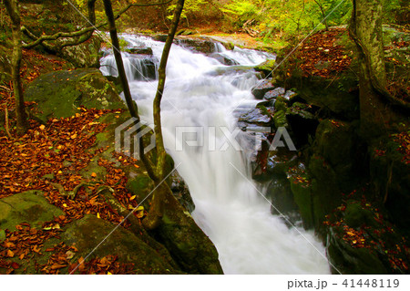 秋の江竜田の滝(福島県・鮫川村) 秋の江竜田の滝(福島県・鮫川村) 41448119