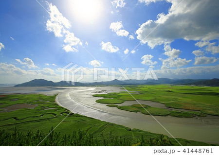 湿地 空 雲 41448761