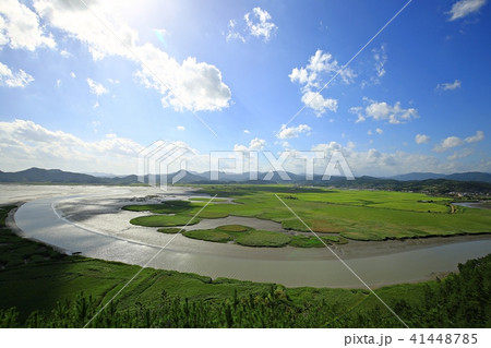 順天湾 湿地 雲 41448785