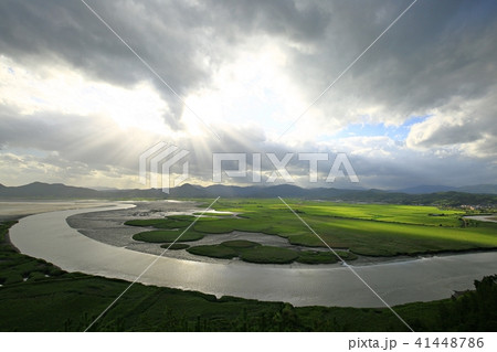 順天湾 湿地 雲 41448786