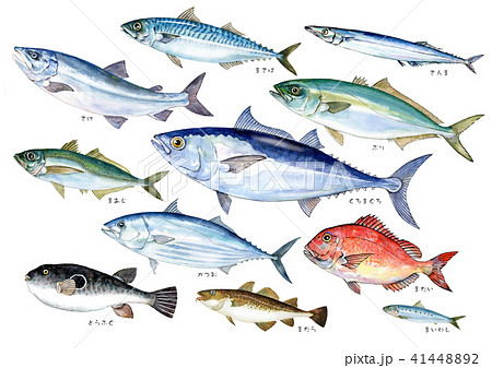 Fish Dish Seawater Fish Watercolor Illustration Stock Illustration 4144