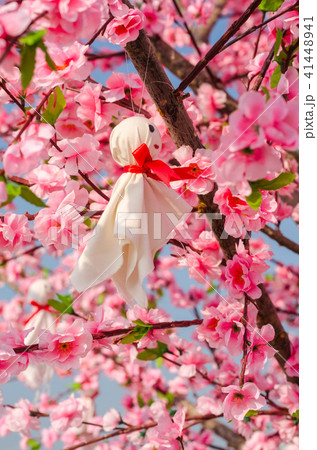 Teru teru bozu hanging on Sakura tree Teru teru bozu hanging on Sakura tree 41448941