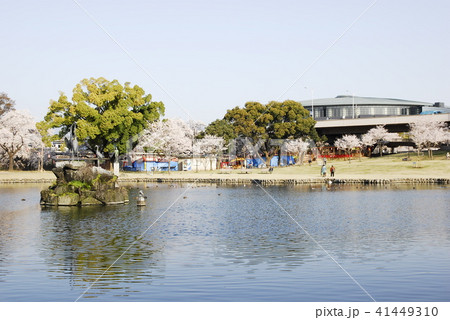 さちの池 さちの池 41449310