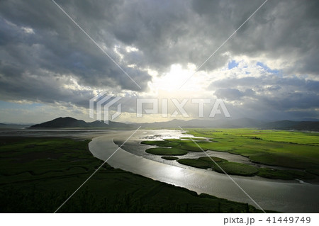 順天湾湿地 雲 空 41449749