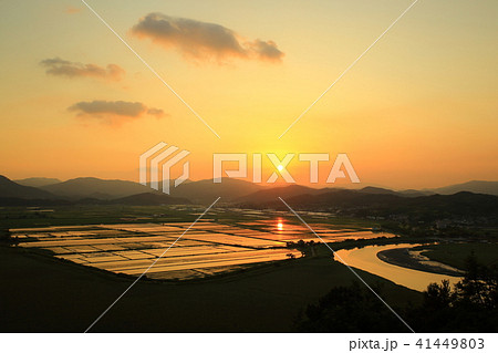 順天湾湿地 空 干潟 41449803