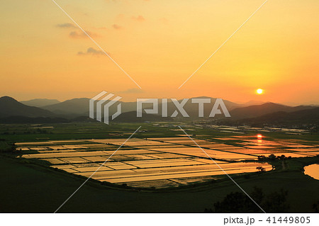 順天湾湿地 空 干潟 41449805