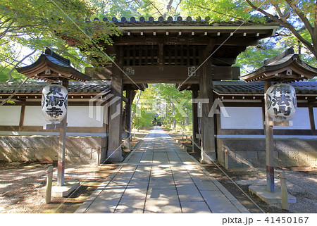 東漸寺の総門 (千葉県松戸市とうぜんじ) 東漸寺の総門 (千葉県松戸市とうぜんじ) 41450167