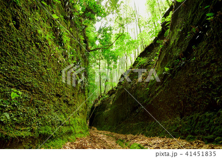 矢黒の切り通し 矢黒の切り通し 41451835