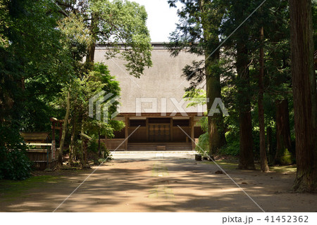 飯高寺　飯高檀林跡　飯高寺参道　千葉県匝瑳市 41452362