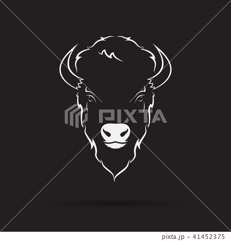 Vector of buffalo head design on black background. Vector of buffalo head design on black background. 41452375