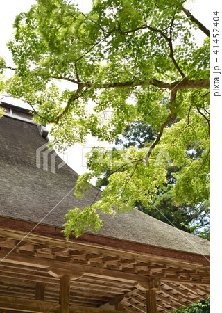 飯高寺　飯高檀林跡　千葉県匝瑳市 41452404