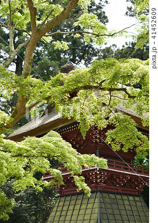 鼓楼　飯高寺　飯高檀林跡　千葉県匝瑳市 41452609