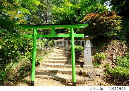 足利織姫神社(縁結び・七色の鳥居) 足利織姫神社(縁結び・七色の鳥居) 41452996