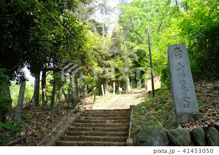 大山阿夫利神社参道入口 41453050