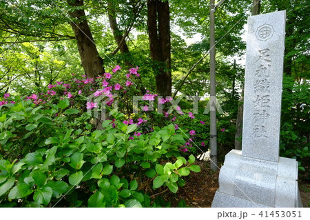 足利織姫神社(駐車場側入口) 足利織姫神社(駐車場側入口) 41453051