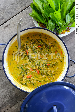 "Kaeng Kua Plalai" or "Thai Spicy Swamp Eel Curry" 41453101