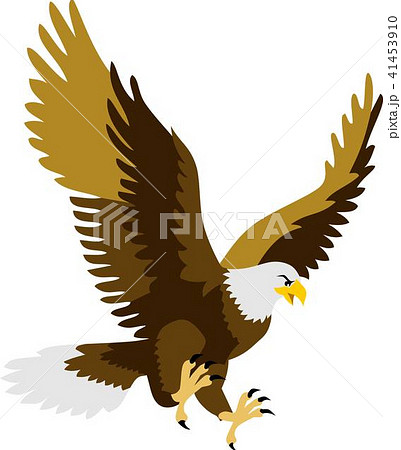 Flying Eagleのイラスト素材 41453910 Pixta