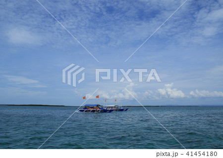 フィリピン　セブ島　風景 41454180