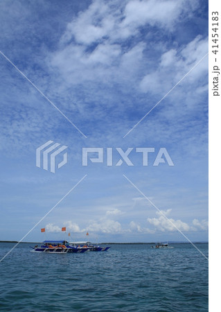 フィリピン　セブ島　風景 41454183