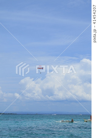 フィリピン　セブ島　風景 41454207