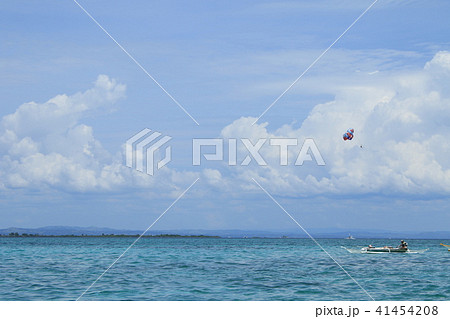 フィリピン　セブ島　風景 41454208