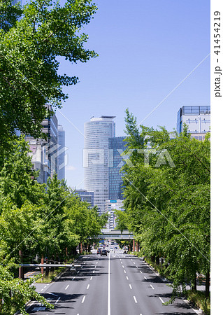 名古屋都市風景 桜通の銀杏並木と名古屋駅ビル群 日銀前交差点から 名古屋都市風景 桜通の銀杏並木と名古屋駅ビル群 日銀前交差点から 41454219