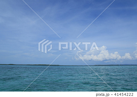 フィリピン　セブ島　風景 41454222