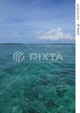フィリピン セブ島 風景 フィリピン セブ島 風景 41454224