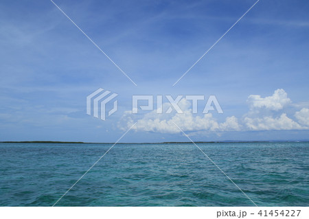 フィリピン　セブ島　風景 41454227