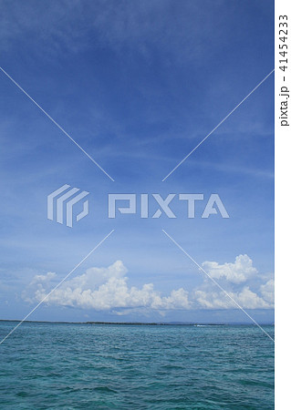 フィリピン　セブ島　風景 41454233