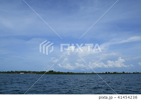 フィリピン　セブ島　風景 41454236