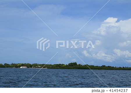 フィリピン　セブ島　風景 41454237