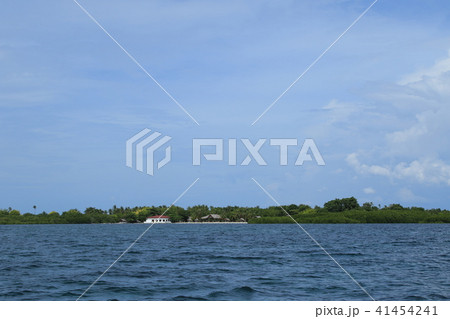 フィリピン　セブ島　風景 41454241