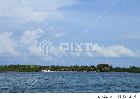 フィリピン　セブ島　風景 41454244