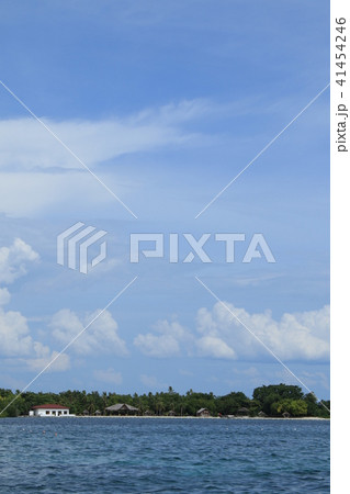 フィリピン　セブ島　風景 41454246