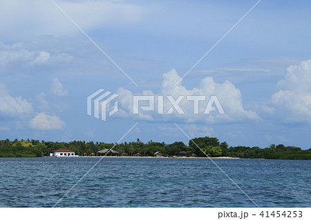 フィリピン　セブ島　風景 41454253