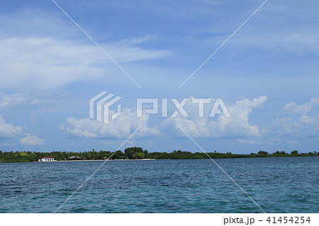 フィリピン　セブ島　風景 41454254