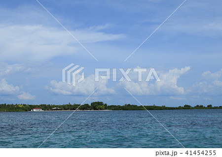 フィリピン　セブ島　風景 41454255