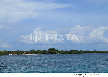 フィリピン　セブ島　風景 41454256