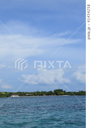 フィリピン　セブ島　風景 41454258